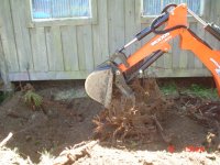 DitchFGarden 003.jpg
