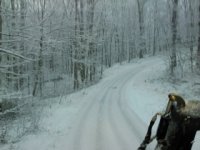 winter10.jpg