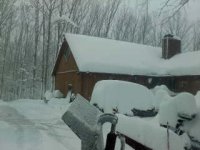 winter10.1.jpg