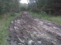 plowed.jpg