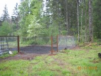 5-18-10 015.jpg