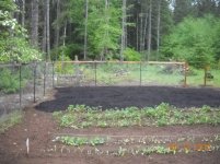 5-18-10 023.jpg
