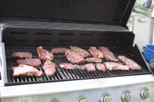 Picnic 2010_01.jpg