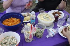 Picnic 2010_09.jpg