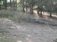 IMG_0088.jpg