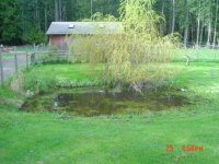 PondCoop 006.jpg