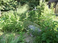 garden1.jpg