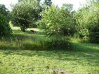 pasturefence2.jpg