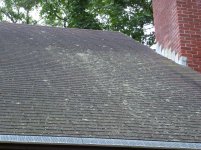 Roof Algae.jpg
