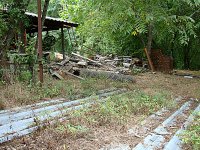 DSC03103.JPG