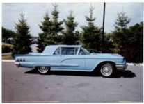 6-203552-SquareBird.jpg