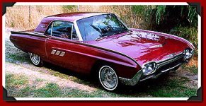 6-203553-BulletBird.jpg