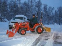 343515-BotaSnow02.JPG