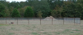 33-205258-dog_fence2.jpg