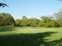 33-153433-netowardhouse.jpg