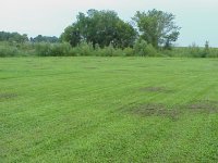 303372-MVC-065F.JPG
