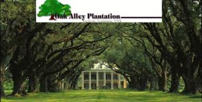 35-153474-OakAlley.jpg