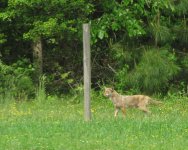 IMG_2494_sm.JPG