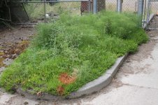 Misc(2)_002.jpg