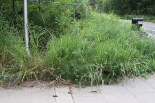 Misc(2)_004.jpg