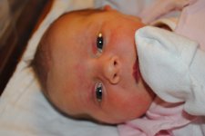 Averie1 002.jpg