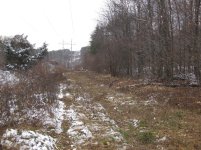 IMG_0778.jpg