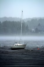 5435 Earl at Wallace Harbour.jpg