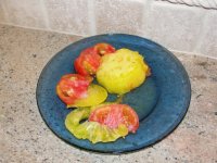 Tomatoes 002.JPG