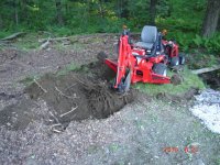stump rmvl 6:2010-1.JPG
