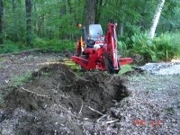 stump rmvl 6:2010-2.JPG stump rmvl 6:2010-2.JPG