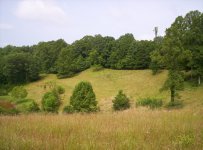 DWR Visit 07.20.10 004.JPG