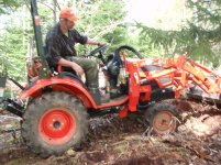 pullin tree1.jpg