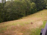 DWR Visit 07.20.10 007.JPG