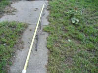 Picture 014.jpg