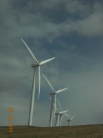 6-20-10 055.JPG