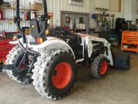 bobcat 001.jpg