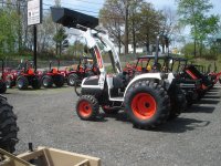 bobcat 002.jpg