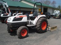 bobcat 003.jpg