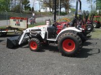 bobcat 004.jpg