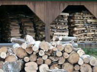 2010%20wood%20cutting%20017.jpg