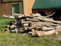 2010%20wood%20cutting%20007.jpg