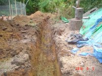 DitchFGarden 033.jpg