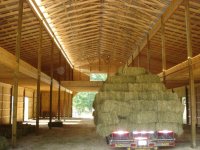 Barn 6.jpg