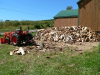 2010 final bull pine cut 008.jpg