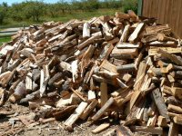 2010 final bull pine cut 010.jpg