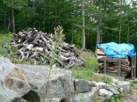 2010 wood cutting 012.jpg