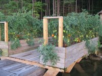 June20_2010057.jpg
