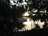 June20_2010052.jpg