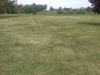 IMG00028-20100501-1511.jpg