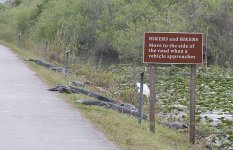 Hikers[1].JPG